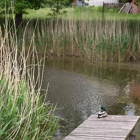 Feriehus Forsthaus /