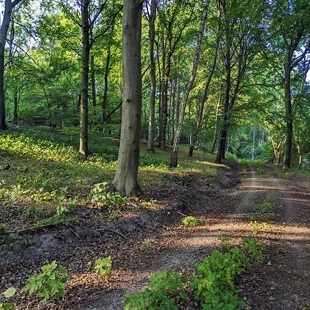 بيت للعطل Forsthaus /