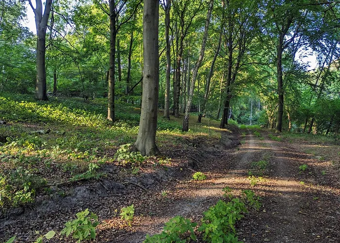 Дом отдыха Forsthaus /